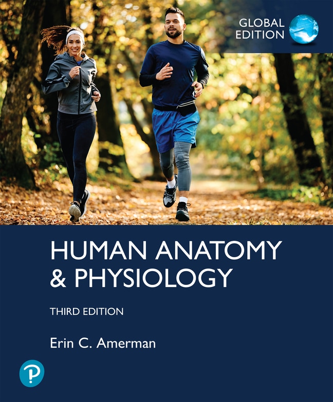 Human Anatomy & Physiology, Global Edition, 3rd edition